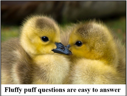 Fluffy puff questions are easy to answer